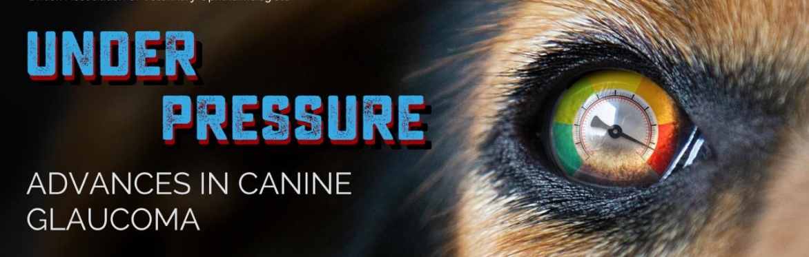 BrAVO Winter Conference 2025 - Advances in Canine Glaucoma