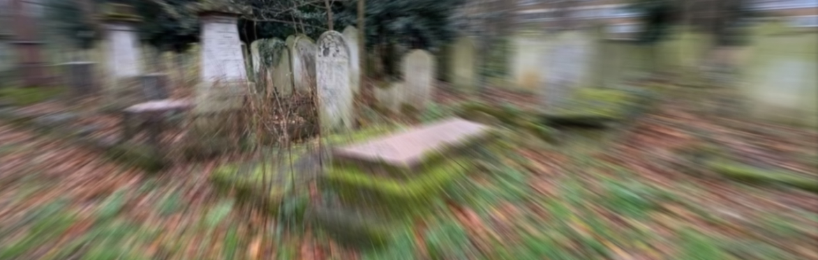 Virtual Tour - Tower Hamlets Cemetery Park [ONLINE]