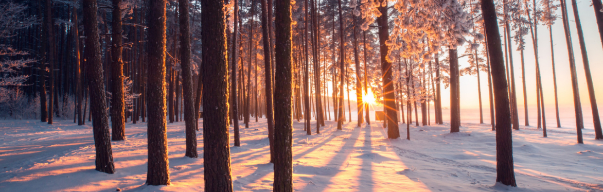 Transformation Within: A Conscious Connected Breathwork Journey