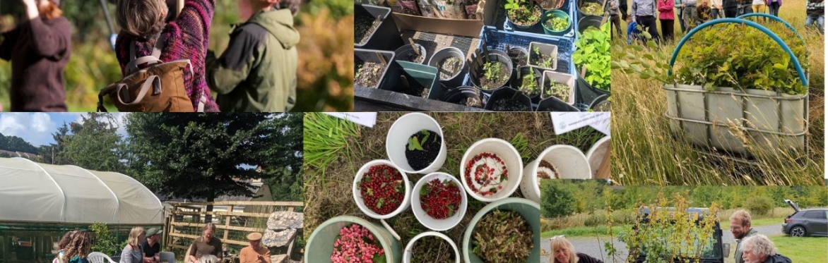 a selection of images of community tree nursery activities including people, trees and seeds