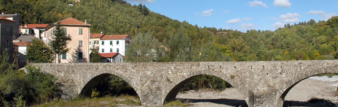SALOTTO LETTERARIO "CIELO, TERRA E INCHIOSTRO"