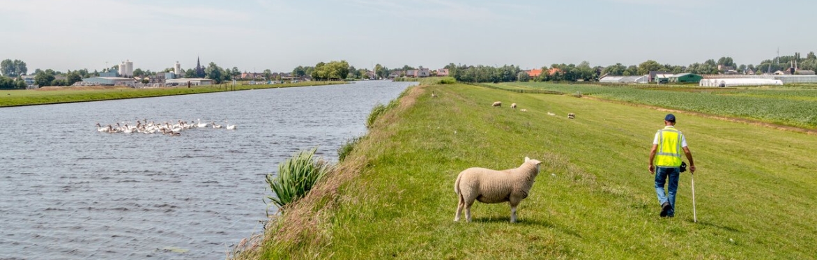 Waterschappen, wat komt er kijken bij schoon water?