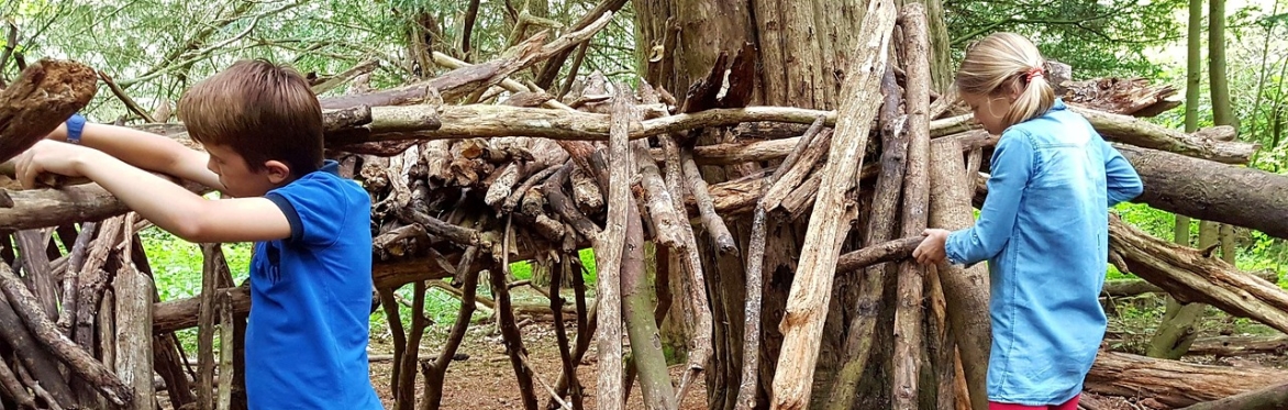 Fun in the Forest - Den Building Special