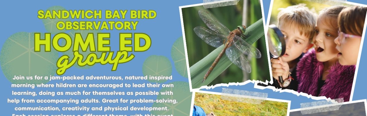 Home-Ed Group: Ponds and Wetlands