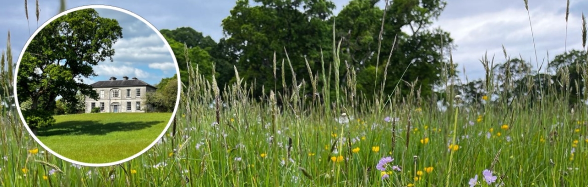 Bio-Diversity Week Tour & Talk at Tullynisk - How land can contribute in the context of climate and biodiversity crises
