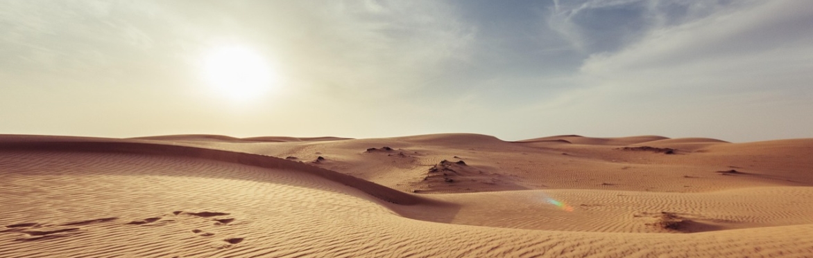 The Way of the Desert Mothers and Fathers: A journey into Peace and Compassion