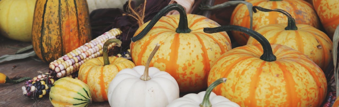 Autumn Equinox Gathering
