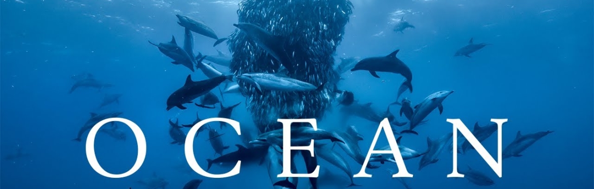 Sustaining Dunbar AGM and Ocean film screening