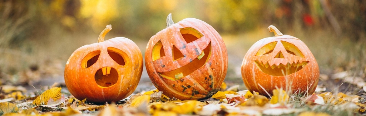 Halloween Pumpkin Carving & Natural Crafts