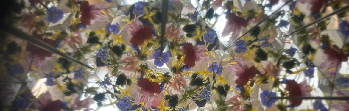 A view down a kaleidoscope - lots of geometric patterns in floral colours