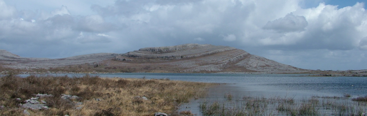 Burrenbeo Members' Walk - Shore Walk at Flaggy Shore