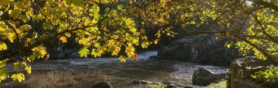 Linn Rocks, River Tyne