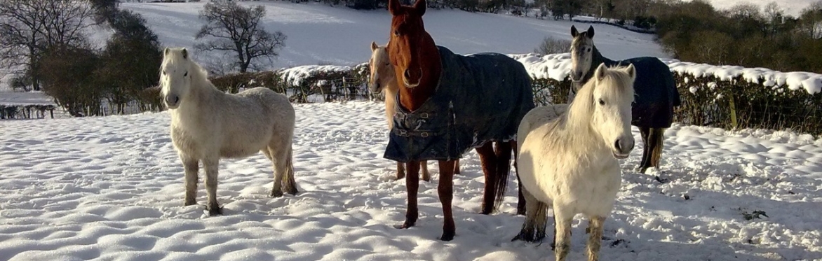 Using Winter to your Advantage