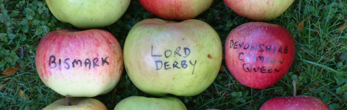 Apple Weekend & Country Fair - Stall Holders