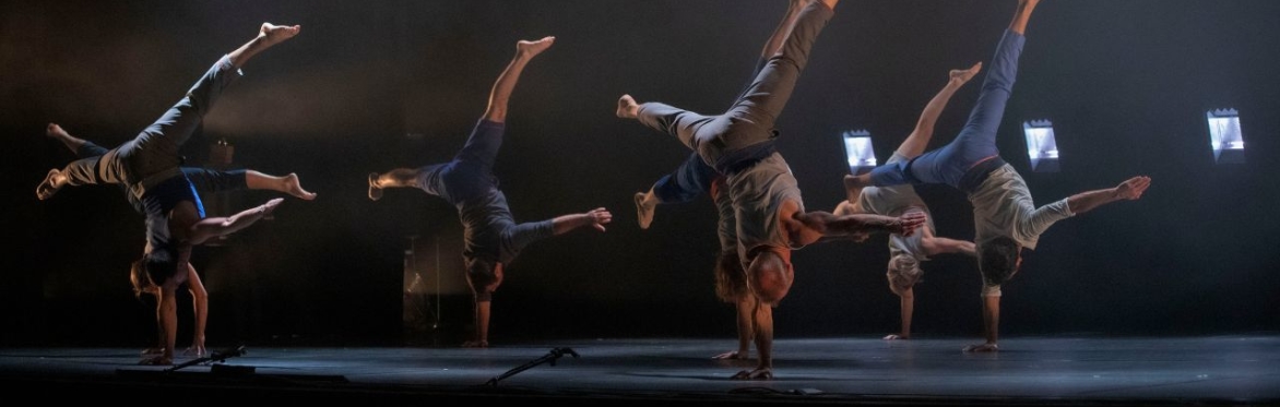 Guided Tour of the Finnish House of Dance