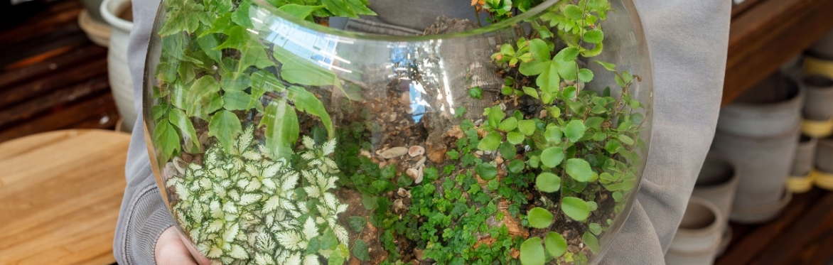 DIY Terrarium Workshop (Lake Oswego)