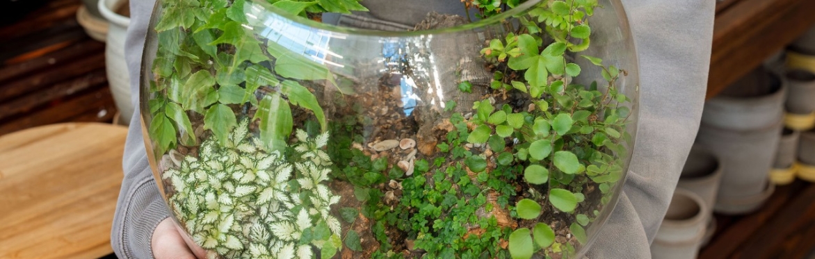DIY Terrarium Workshop (Vancouver)