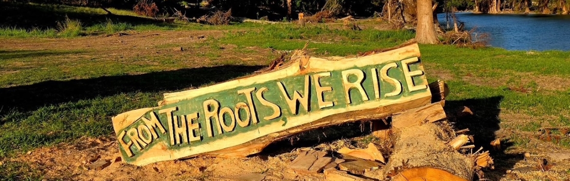 From The Roots We Rise Fest w/ Monte Montgomery, Billy Mata & The Texas Tradition, and more...