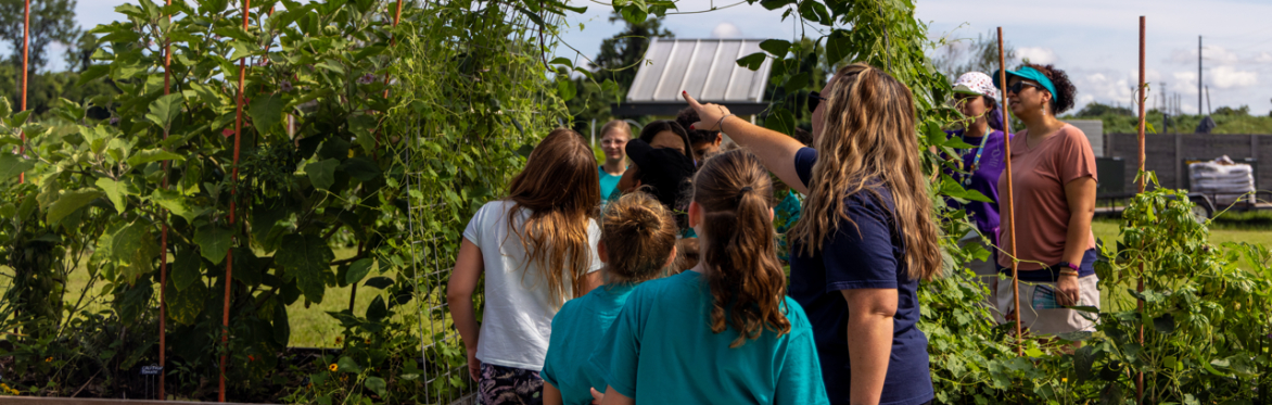 Homeschool Days (Ages 5-7) at 4Roots Farm
