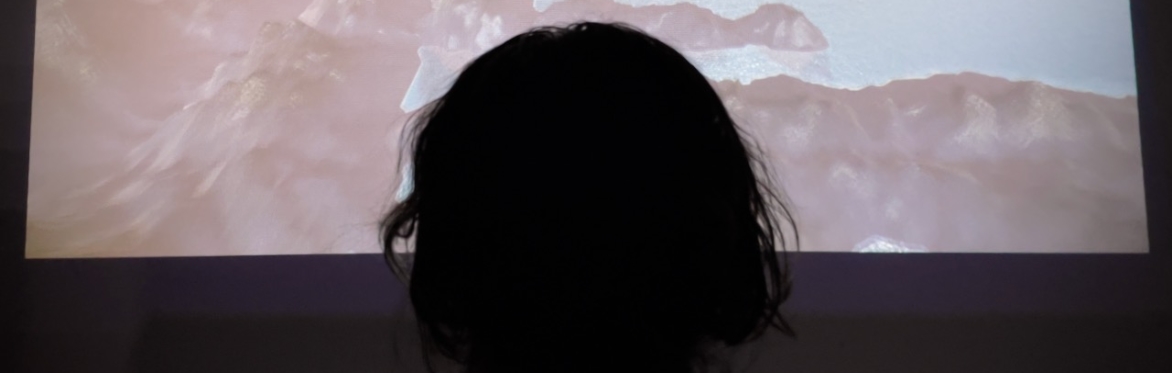 Digital Sovereignty, Convivial Tools: New Media in the Age of Ecocide
