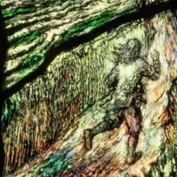 That Feathered Hunter: Spiritual Poetry in a Secular Age