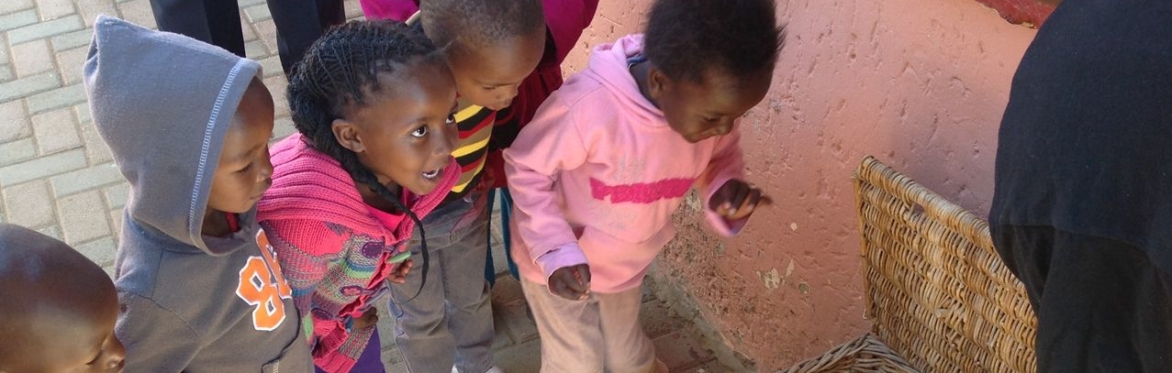 Owls and Education: changing owl perceptions in southern Africa, with Jonathan Haw from South Africa