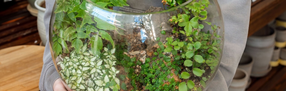DIY Terrarium Workshop (Cedar Hills)