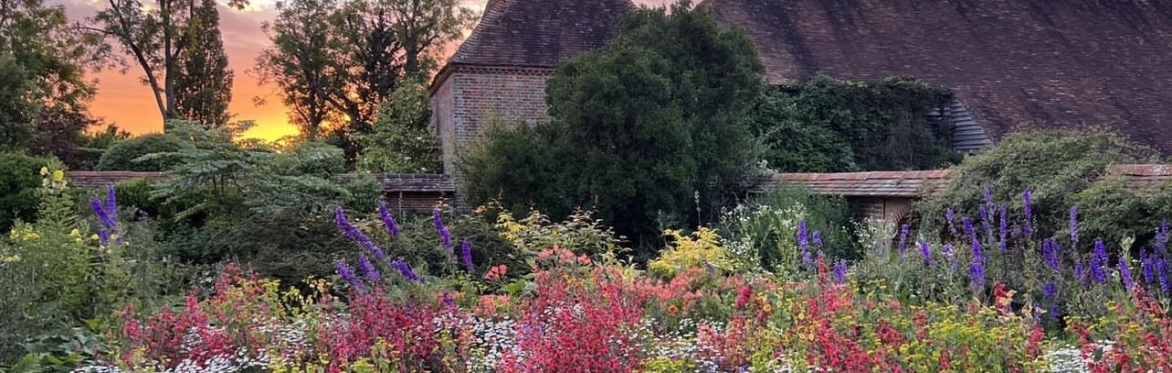 Growing and integrating summer bedding for late season interest