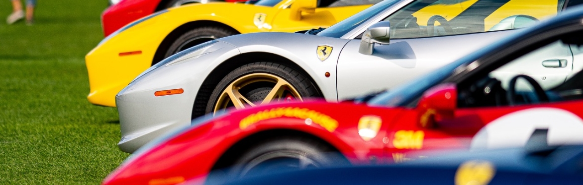 Horses & Horsepower