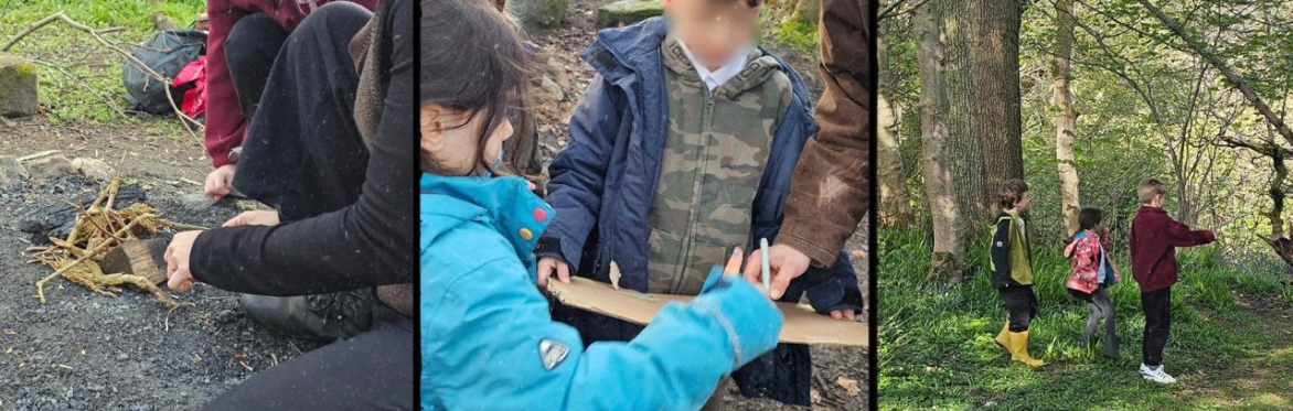 Woodland Explorers - Family Day