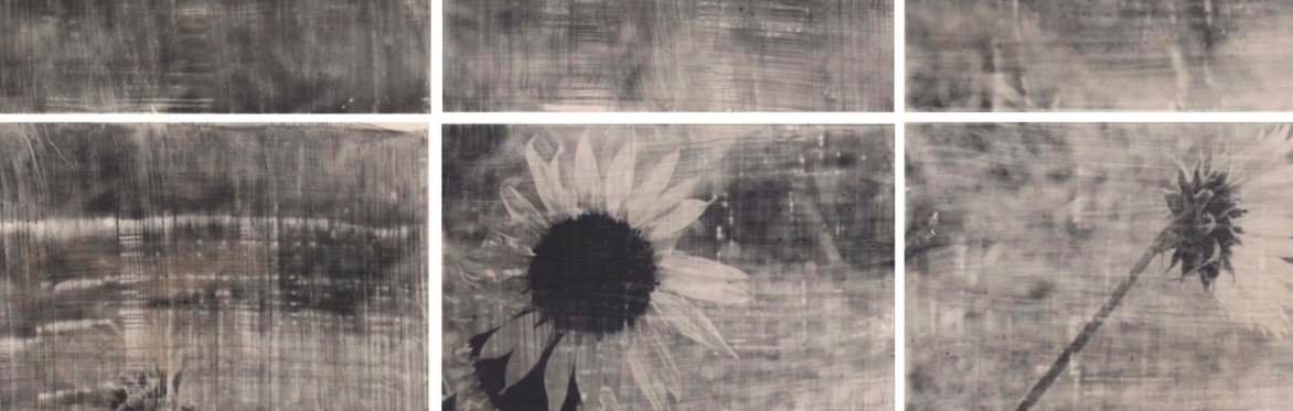 Liquid Emulsion w/ Jill Enfield