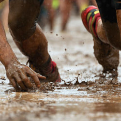 FLORENTINA'S FOOTSTEPS NUCLEAR RACES