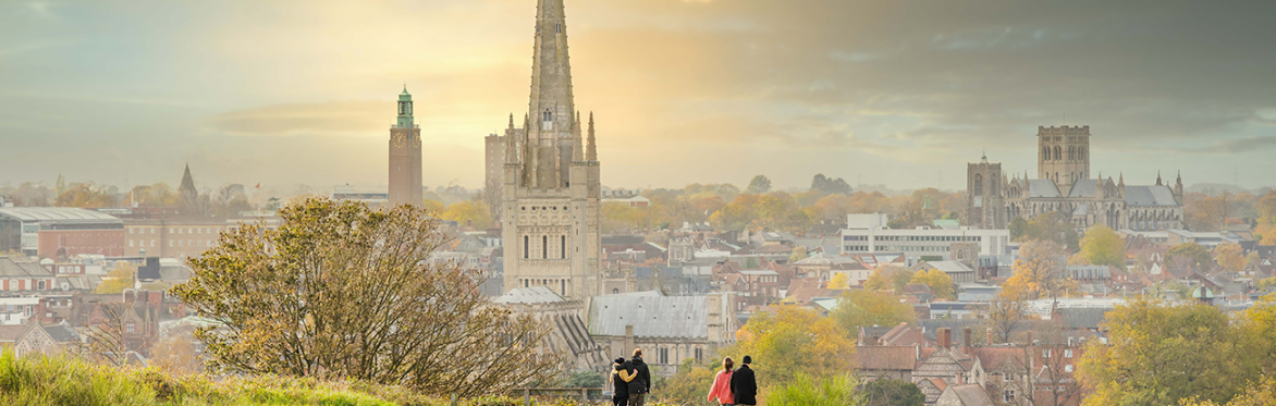 Mousehold Heath: history and foraging walk