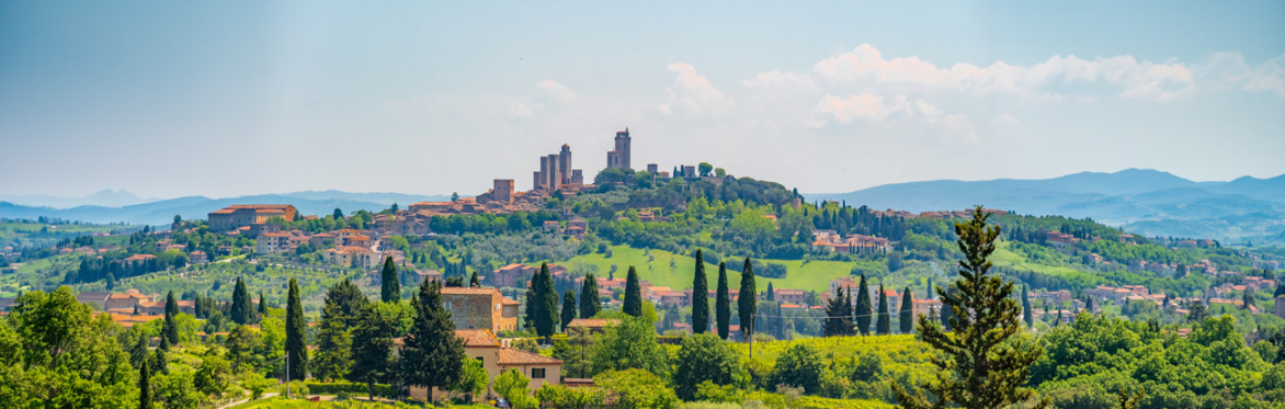 Italian Wine Journey