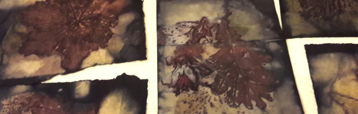 Plant Alchemy - Eco-printing with Plants on Paper