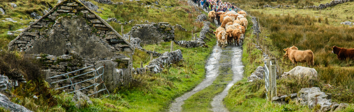 Burren Winterage Weekend 2018