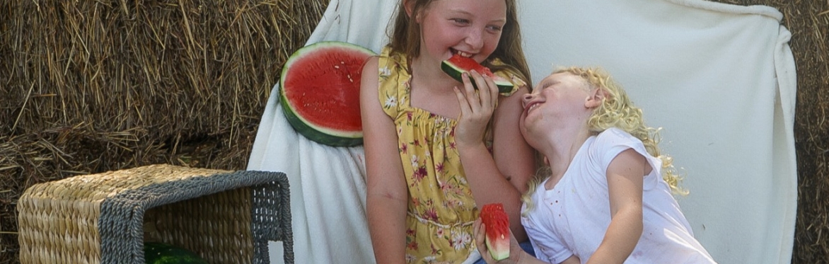 Watermelon Mini Photo Sessions