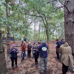 Tree Net course