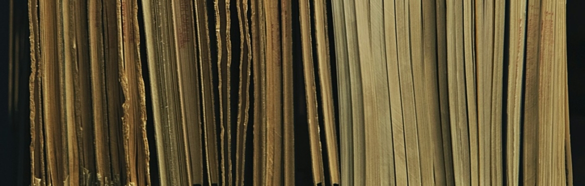 Magazines shelved sideways, so no spines are visible