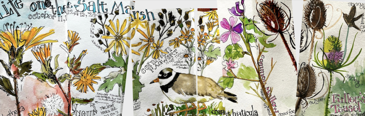 Salt Marsh Nature Journal : an All-Day Retreat