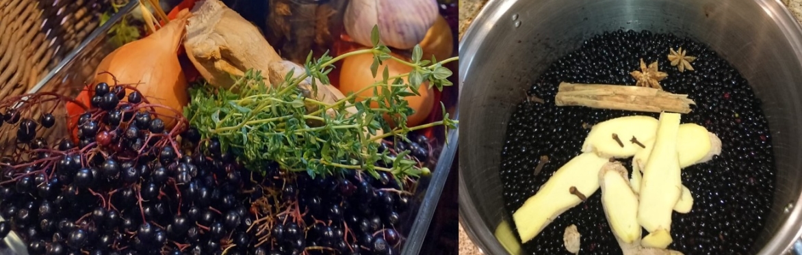 Winter Herbal Farmacy