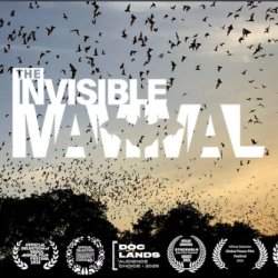 Blue sky with a flurry of bats, and the words 'The Invisible Mammal'