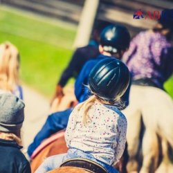 Safeguarding for Equestrians Course