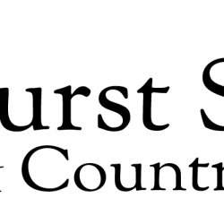 Hurst Show and Country Fayre 2026