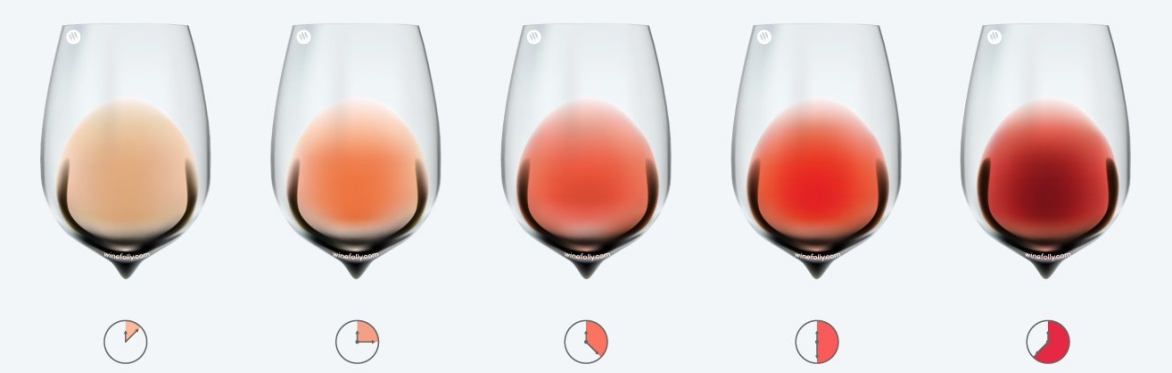 Friday Night Wine School - The Rosé Spectrum, How Production Methods Shape Rosé Wine