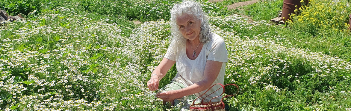 Natural Remedies for Anxiety, Stress