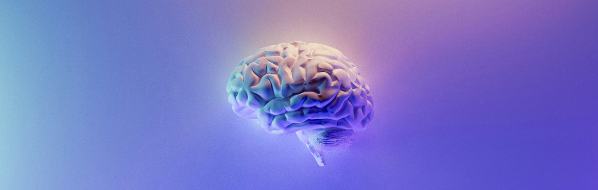 Workshop on SBA: Synergising the Human Brain and Artificial Neural Networks