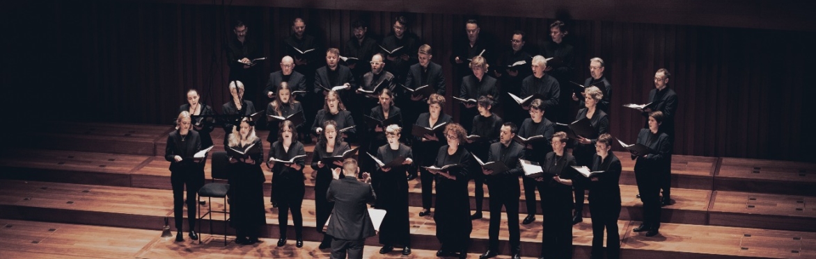 The Fourth Choir in Pimlico