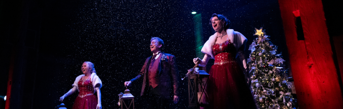Annual Barn at Paradise Station Christmas Dinner & Show