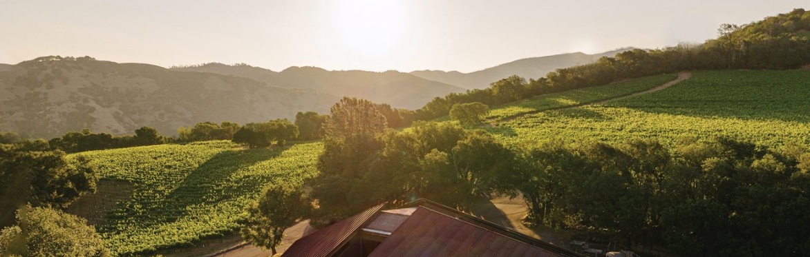 Chappellet: The Height of Napa Cabernet